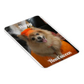 Niedlicher Pumpkin Dog Foto Magnet (Rechte Seite)