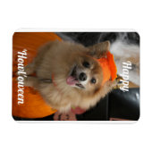 Niedlicher Pumpkin Dog Foto Magnet (Horizontal)