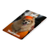 Niedlicher Pumpkin Dog Foto Magnet (Linke Seite)