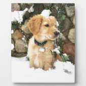 Niedlicher Puppy Labrador Retrieve Fotoplatte (Vorderseite)