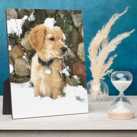 Niedlicher Puppy Labrador Retrieve Fotoplatte (Seite)