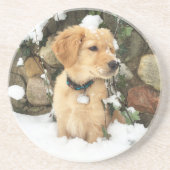 Niedlicher Puppy Labrador Retrieve Getränkeuntersetzer (Vorne)