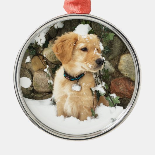 Niedlicher Puppy Labrador Retrieve Silbernes Ornament (Vorne)