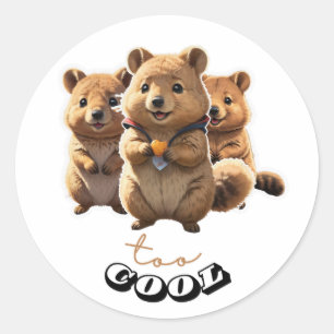 Niedlicher Quokka-Aufkleber Runder Aufkleber