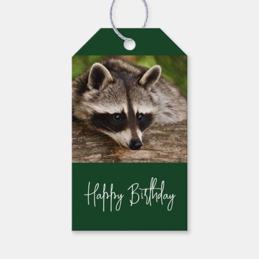 Niedlicher Raccoon auf einem Log Geburtstag Geschenkanhänger (Vorderseite)