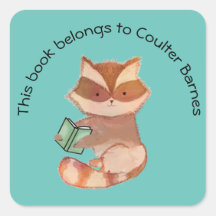 Niedlicher Raccoon-Buchsticker für Jungen