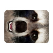 Niedlicher Raccoon Head Funny Animal Portrait Magnet (Horizontal)
