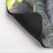 Niedlicher Raccoon in einem Baum Mousepad (Ecke)
