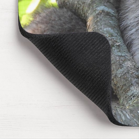 Niedlicher Raccoon in einem Baum Mousepad (Ecke)