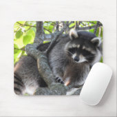 Niedlicher Raccoon in einem Baum Mousepad (Mit Mouse)