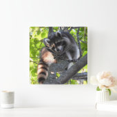 Niedlicher Raccoon in einem Baum Quadratische Wanduhr (Zuhause)