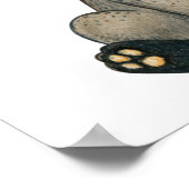 Niedlicher Raccoon Poster (Ecke)