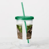 Niedlicher Raccoon-Ruhen auf einem Protokoll Acryltrinkbecher (Links)