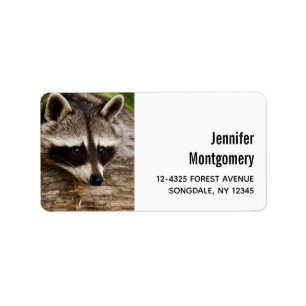 Niedlicher Raccoon-Ruhen auf einem Protokoll Adressaufkleber