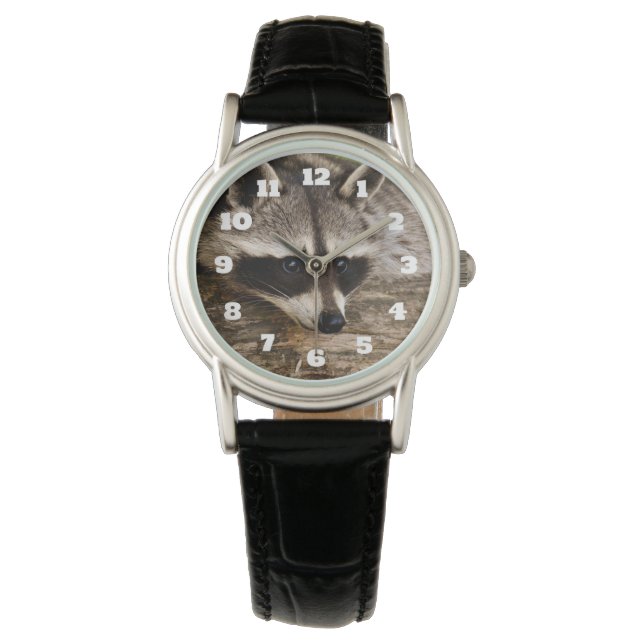 Niedlicher Raccoon-Ruhen auf einem Protokoll Armbanduhr (Vorderseite)