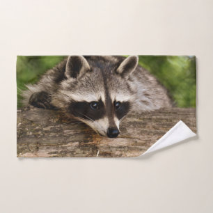 Niedlicher Raccoon-Ruhen auf einem Protokoll Badhandtuch Set
