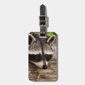 Niedlicher Raccoon-Ruhen auf einem Protokoll Gepäckanhänger (Vorderseite vertikal)