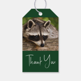 Niedlicher Raccoon-Ruhen auf einem Protokoll Geschenkanhänger