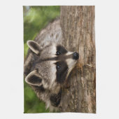 Niedlicher Raccoon-Ruhen auf einem Protokoll Geschirrtuch (Vertikal)