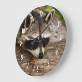 Niedlicher Raccoon-Ruhen auf einem Protokoll Große Wanduhr (Winkel)