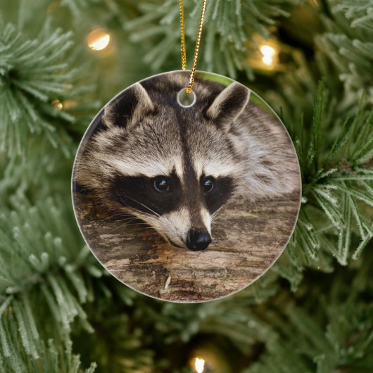 Niedlicher Raccoon-Ruhen auf einem Protokoll Keramik Ornament (Baum)
