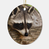 Niedlicher Raccoon-Ruhen auf einem Protokoll Keramik Ornament (Links)