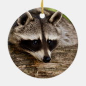 Niedlicher Raccoon-Ruhen auf einem Protokoll Keramik Ornament (Hinten)