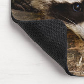 Niedlicher Raccoon-Ruhen auf einem Protokoll Mousepad (Ecke)