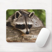 Niedlicher Raccoon-Ruhen auf einem Protokoll Mousepad (Mit Mouse)