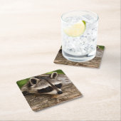 Niedlicher Raccoon-Ruhen auf einem Protokoll Rechteckiger Pappuntersetzer (Vor Ort)