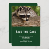 Niedlicher Raccoon-Ruhen auf einem Protokoll Save The Date (Vorne/Hinten)
