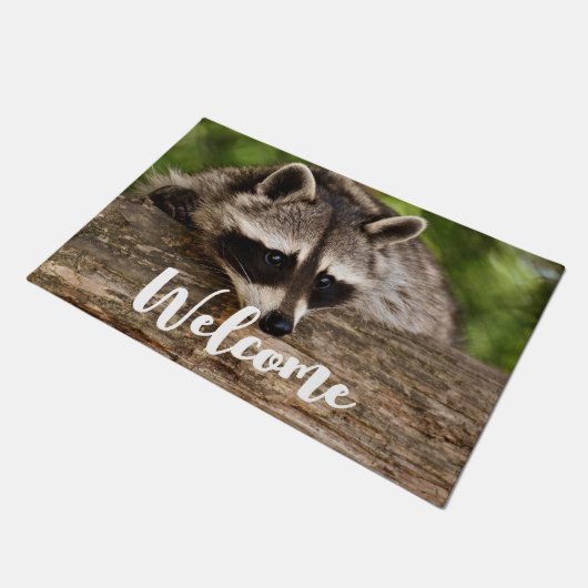 Niedlicher Raccoon-Ruhezustand auf einem Log-Willk Fußmatte (Schrägansicht)