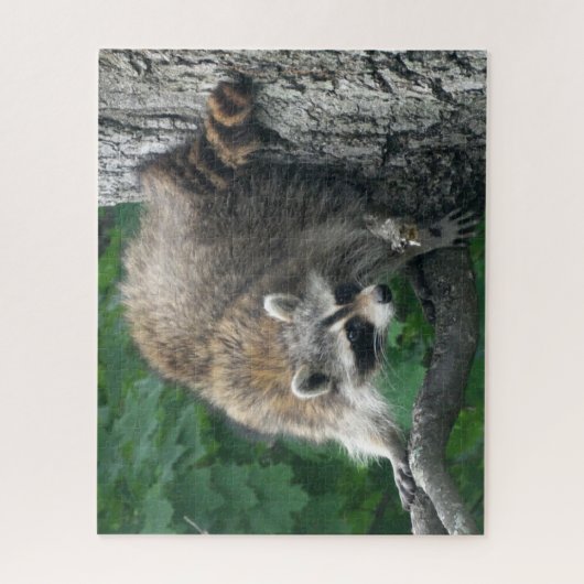 Niedlicher Raccoon-voller Körper im Eichen-Baum Puzzle (Vertikal)