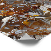 Niedlicher Raccoon während der Winterölmalerei Poster (Ecke)