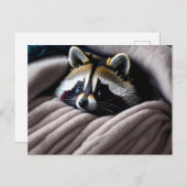 Niedlicher Racon in einer weichen Decke eingebette Postkarte (Vorne/Hinten)