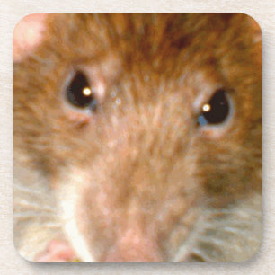 Niedlicher Rattenface Cork Untersetzer
