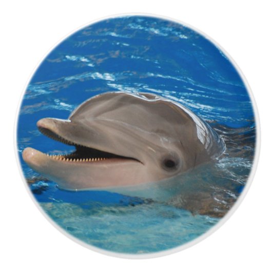 Niedlicher Ratterndelphin Keramikknauf (Vorderseite)