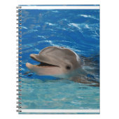 Niedlicher Ratterndelphin Notizblock (Vorderseite)