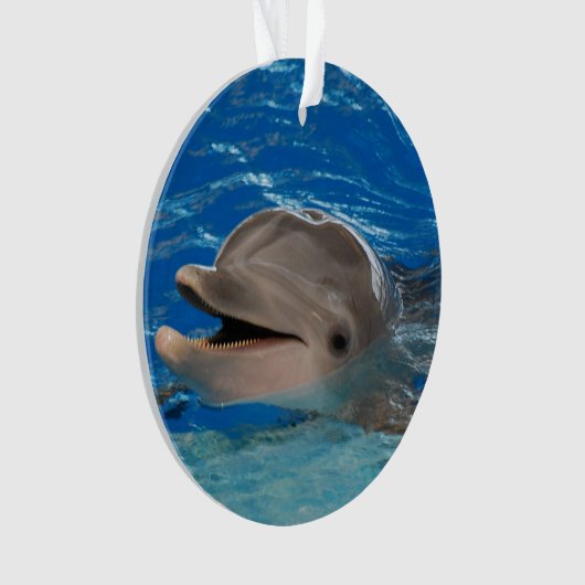 Niedlicher Ratterndelphin Ornament (Vorderseite)