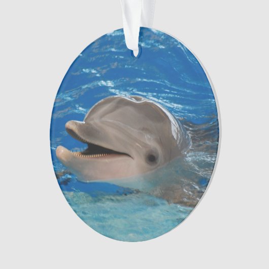 Niedlicher Ratterndelphin Ornament (Vorderseite)