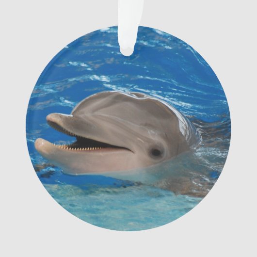 Niedlicher Ratterndelphin Ornament (Vorderseite)