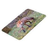 Niedlicher Red Fox Horizontal Flexi Foto Magnet (Linke Seite)