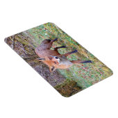 Niedlicher Red Fox Horizontal Flexi Foto Magnet (Rechte Seite)
