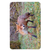 Niedlicher Red Fox Horizontal Flexi Foto Magnet (Vertikal)