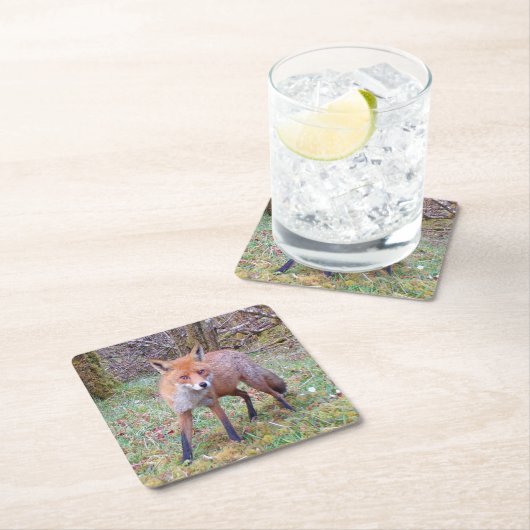 Niedlicher Red Fox-Untersetzer Rechteckiger Pappuntersetzer (Vor Ort)