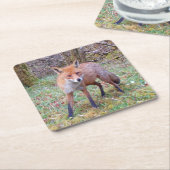 Niedlicher Red Fox-Untersetzer Rechteckiger Pappuntersetzer (angewinkelt)