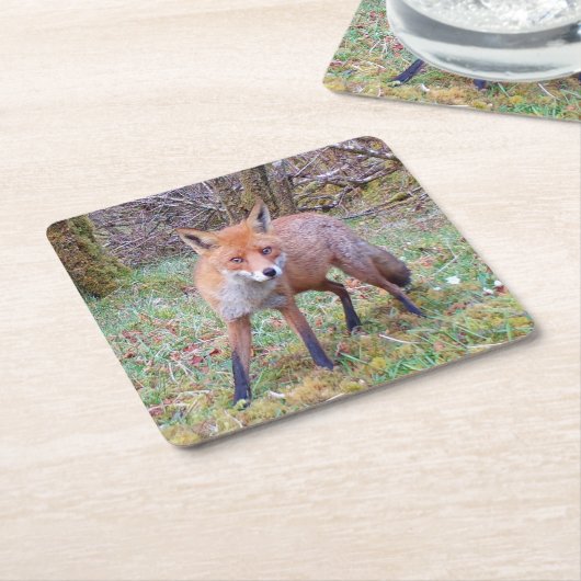 Niedlicher Red Fox-Untersetzer Rechteckiger Pappuntersetzer (angewinkelt)