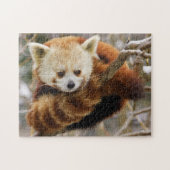 Niedlicher Red Panda auf Snowy Tree Jigsaw Puzzle (Horizontal)