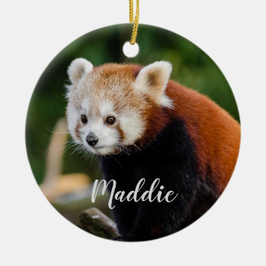 Niedlicher Red Panda Fire Fox Personalisiert Keramik Ornament (Vorne)