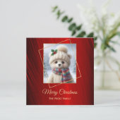 Niedlicher Red Polar Bär Weihnachten (Stehend Vorderseite)